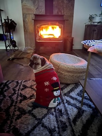 This is pixie enjoying a warm fire