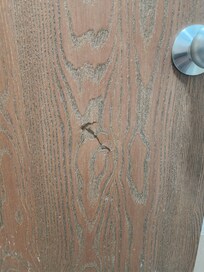 Holes all over, this is door