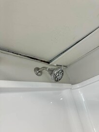 Mildew on ceiling