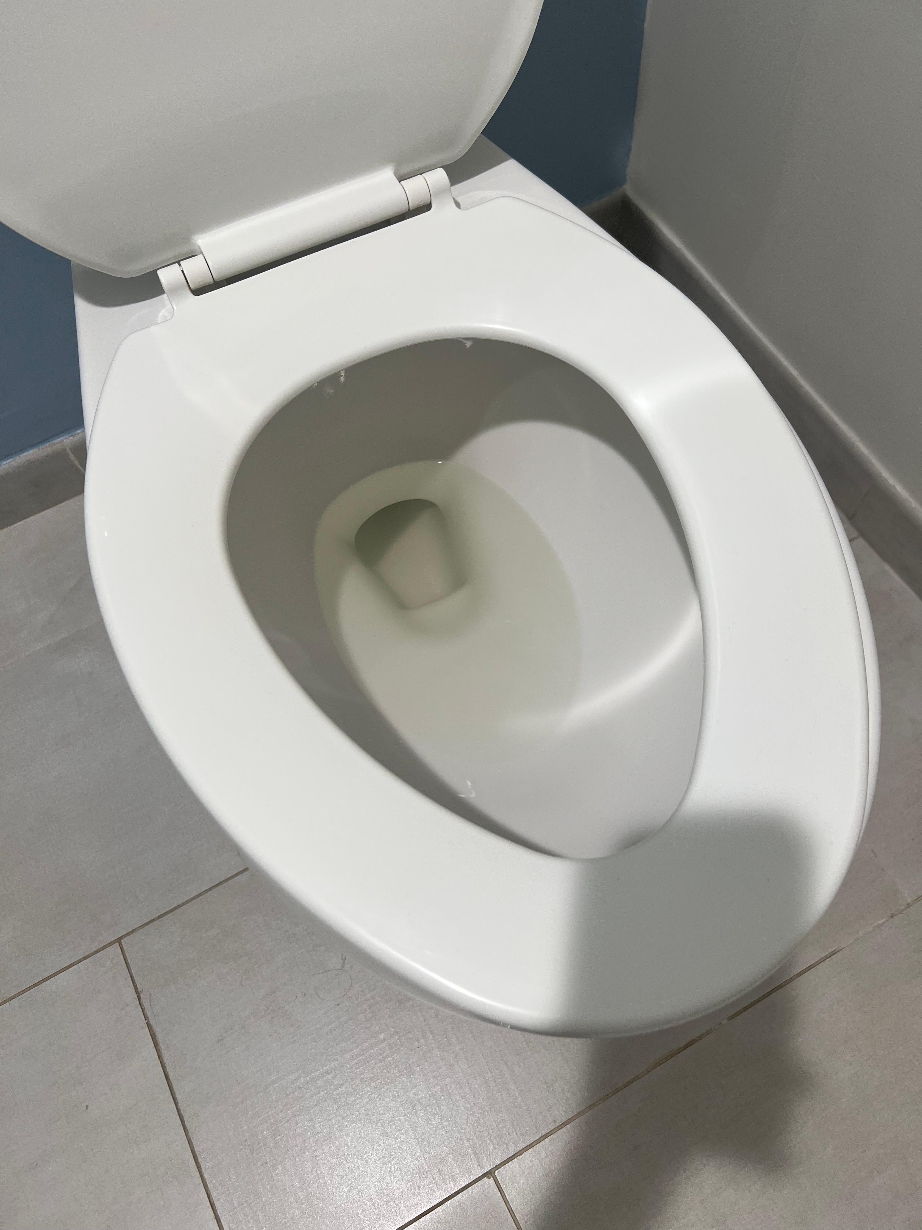 Toilet water brown colored
