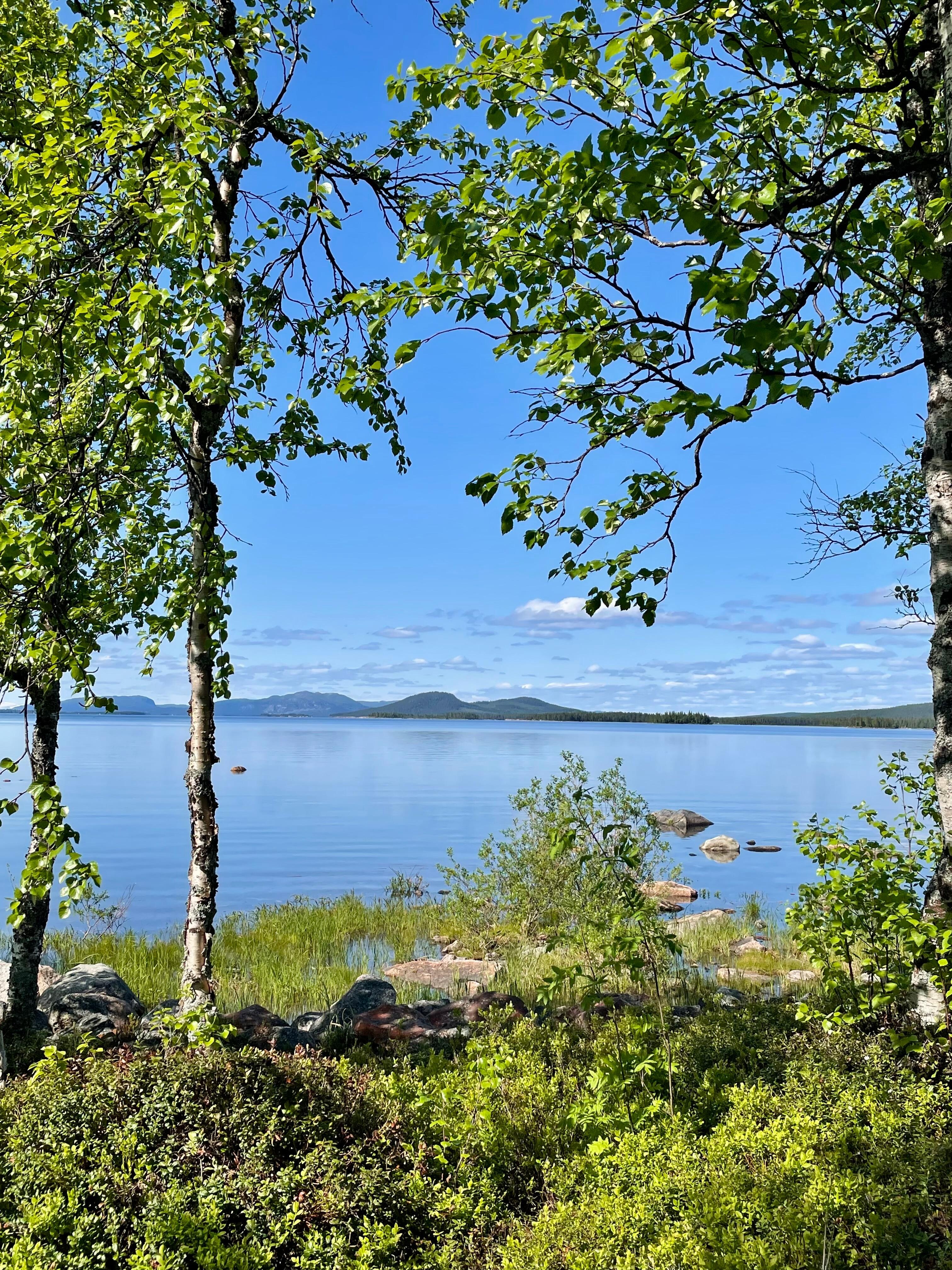 Utsikten från hotellet 