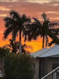 View from the backyard
