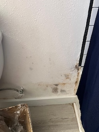 Mold growing on bathroom walls as well as all over the ceilings