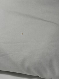 Dirty pillowa