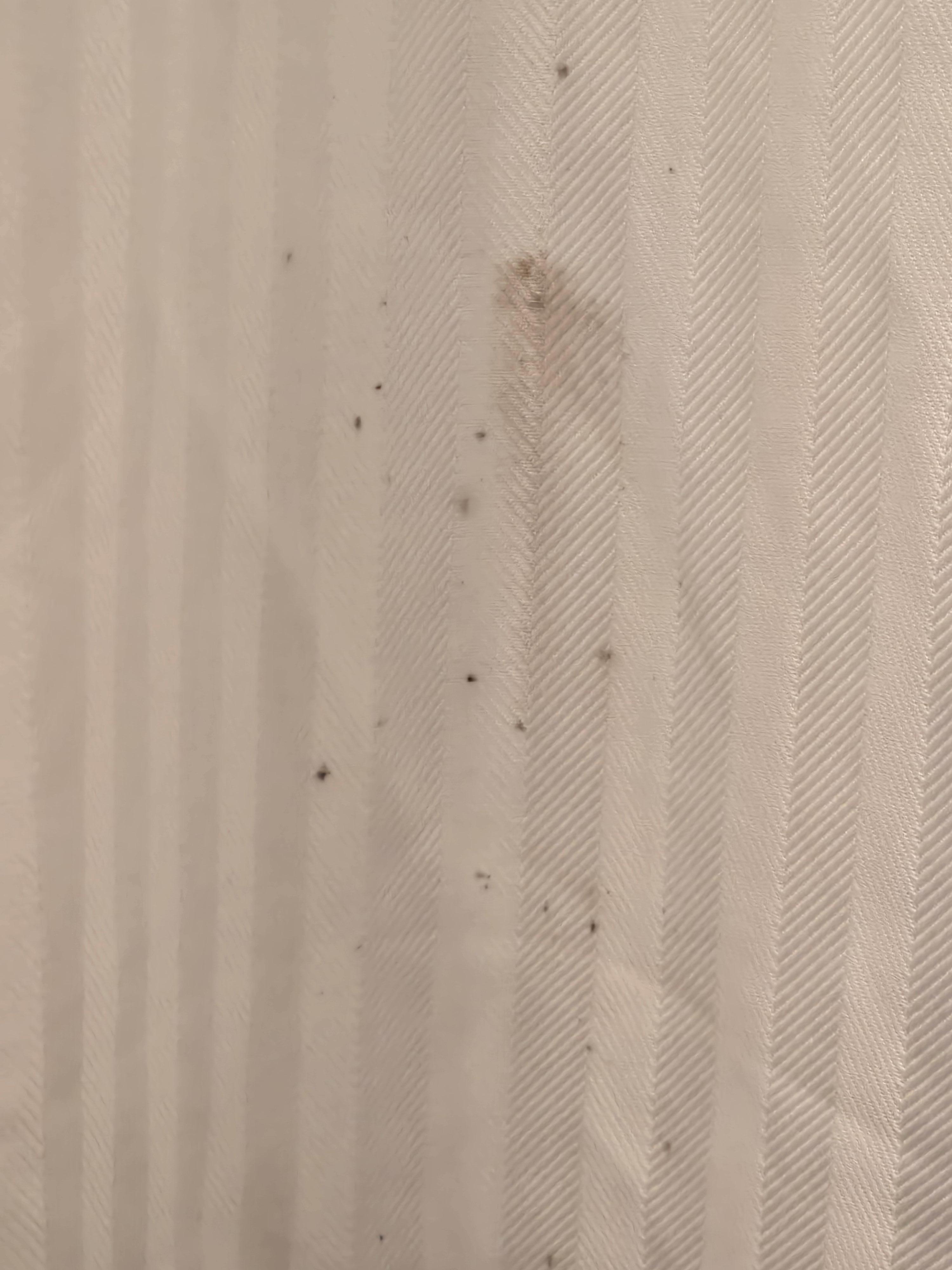 Mold on the shower curtain. 