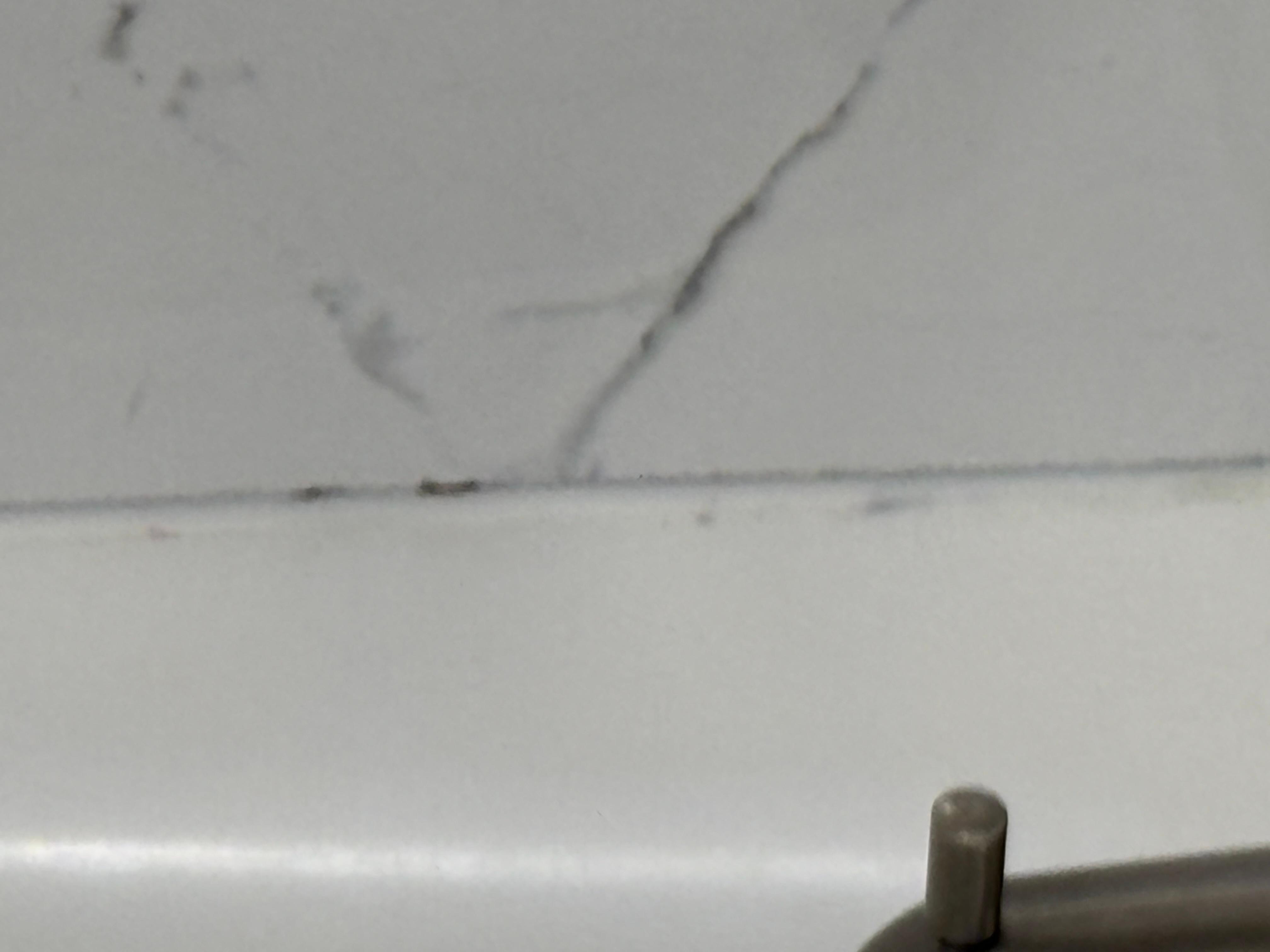 Mold at bottom of tiles 