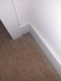 Hair on the carpet.