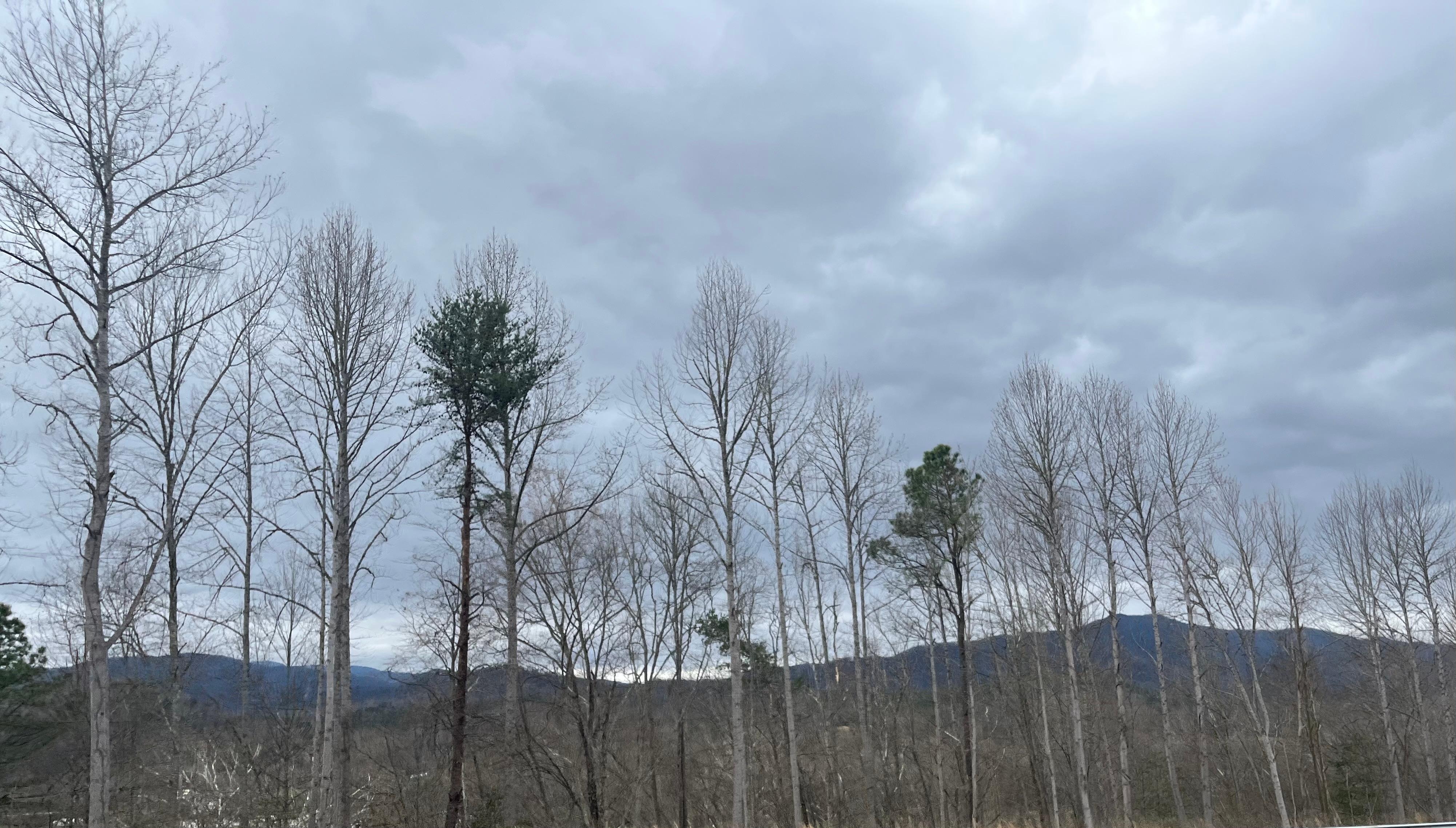 Wonderful patio view