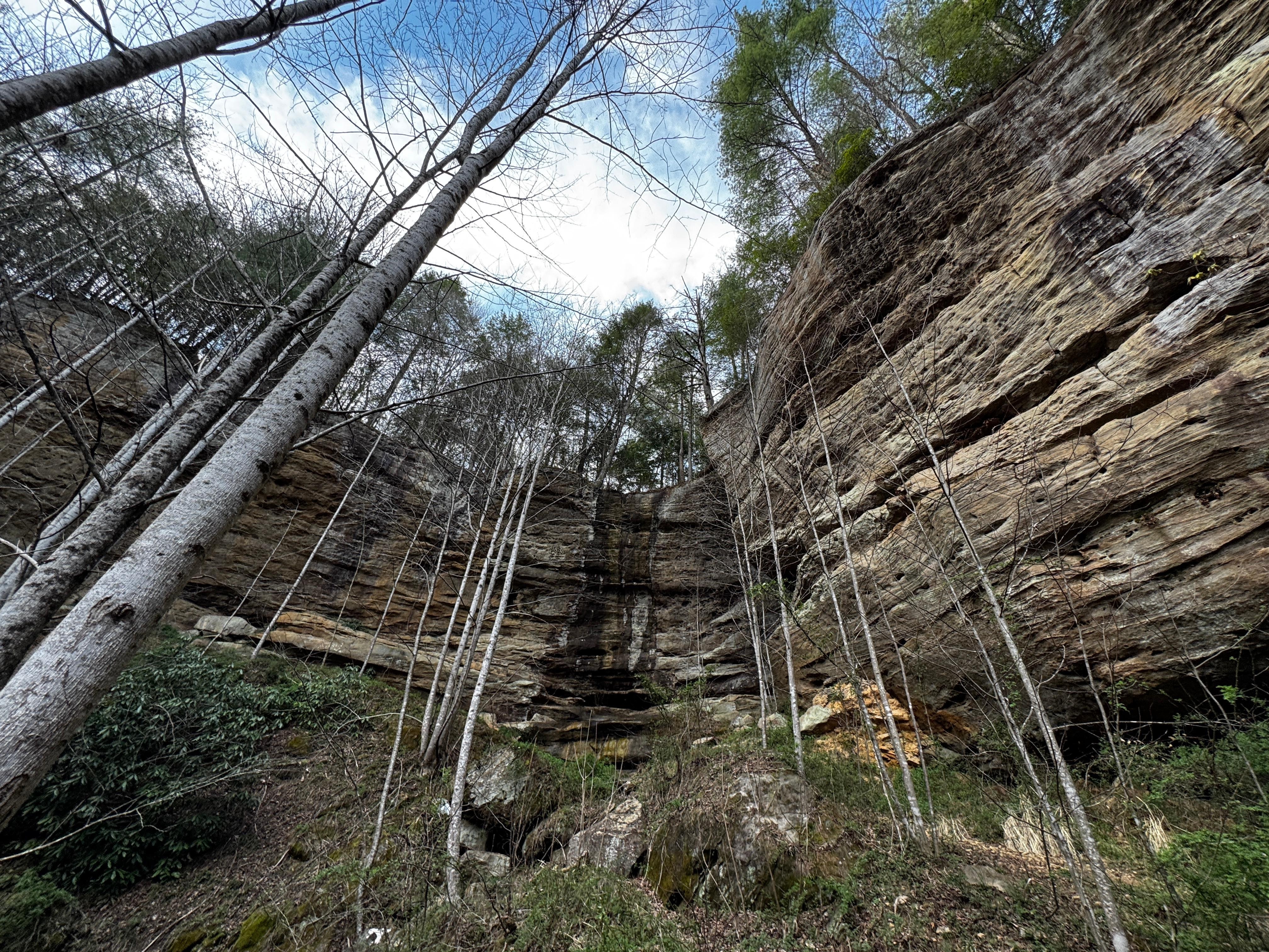 View from outdoor hottub