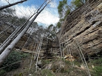 View from outdoor hottub