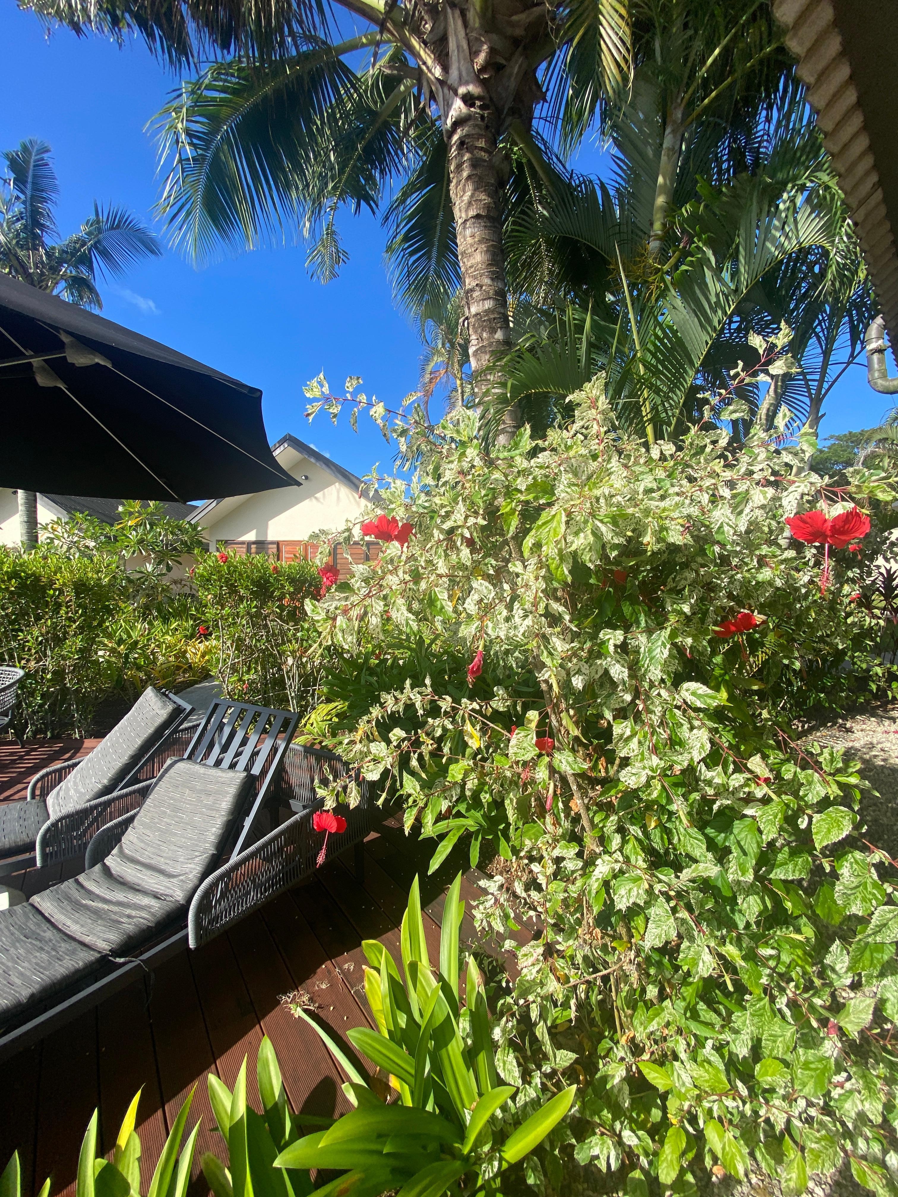 gardens around lap pool