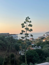 Vue de la chambre sur la terrasse