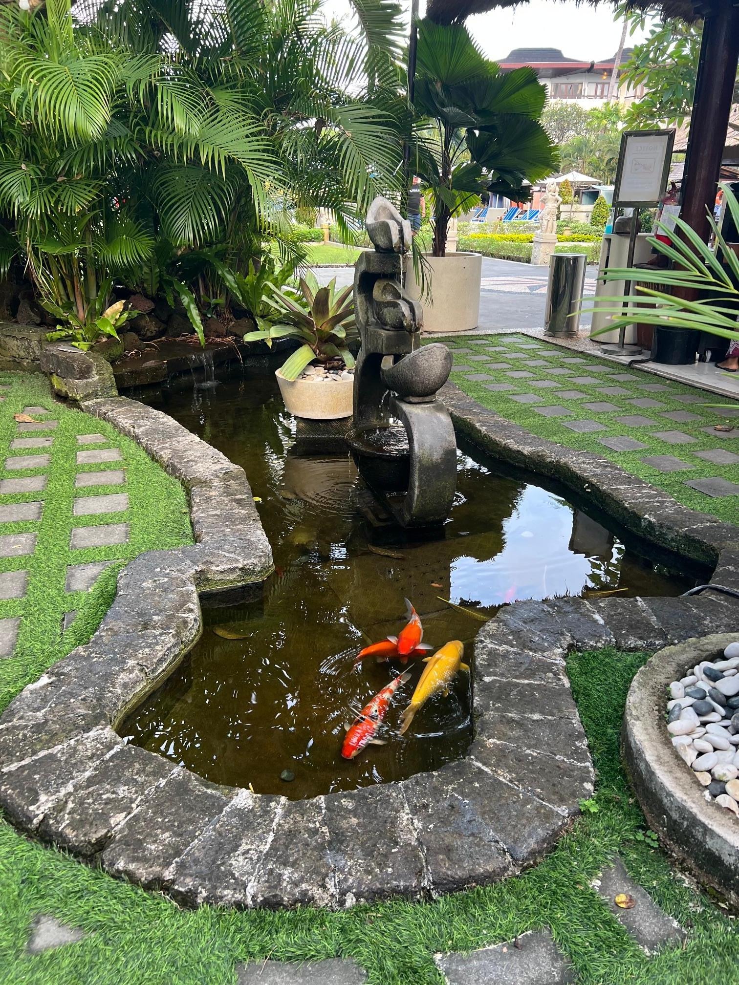 Pond outside of breakfast buffet.