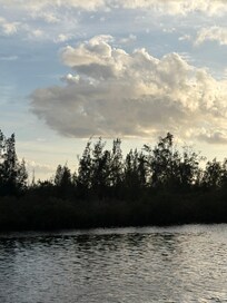 The beautiful view from the back