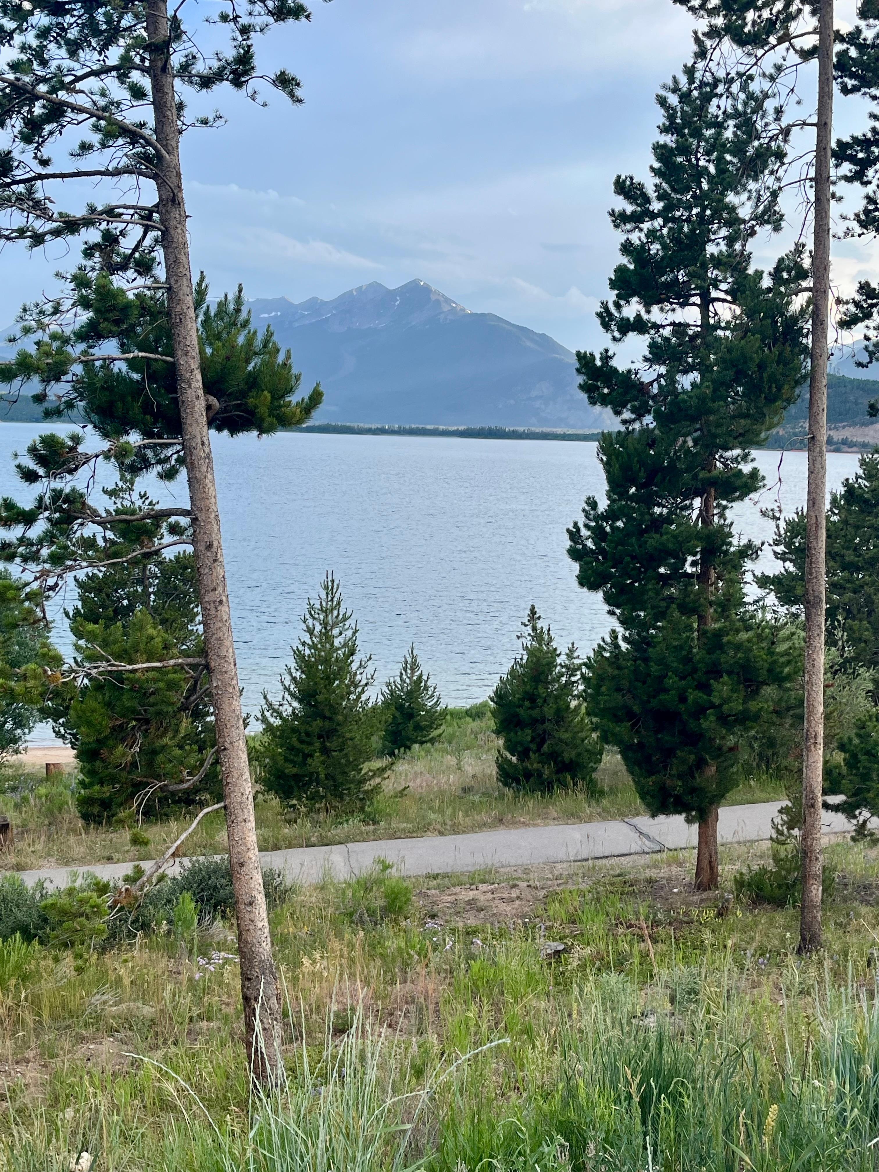 View from the patio.