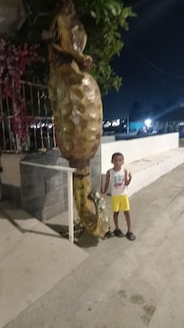 Recorrido por el malecon