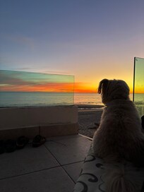 Our dog loved the views