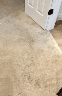 dirty carpets