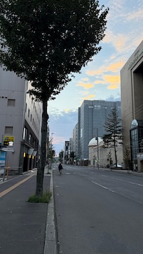 朝の散歩から