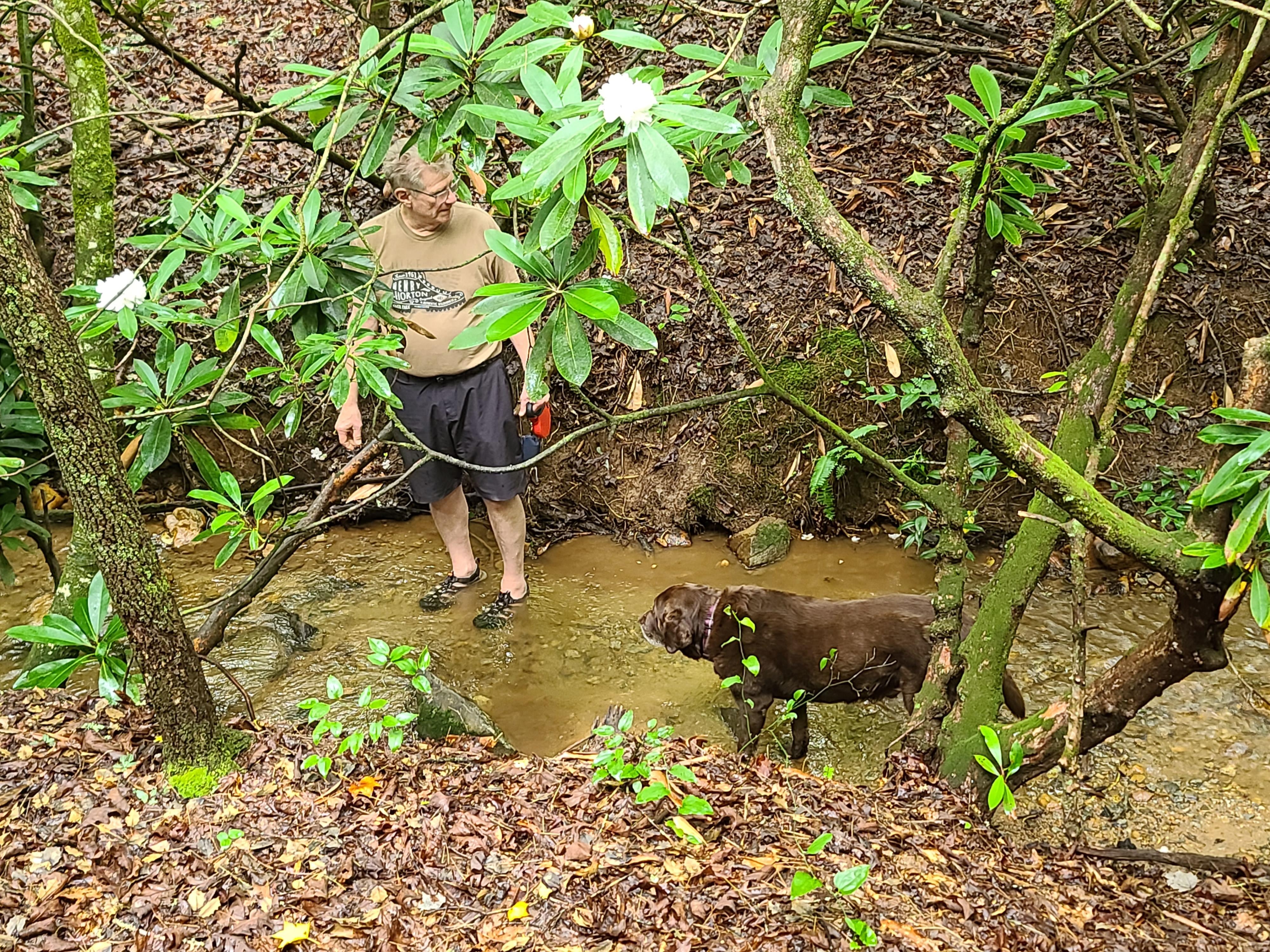 2 "old boys" wading in the creek!