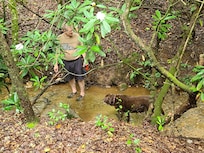 2 "old boys" wading in the creek!