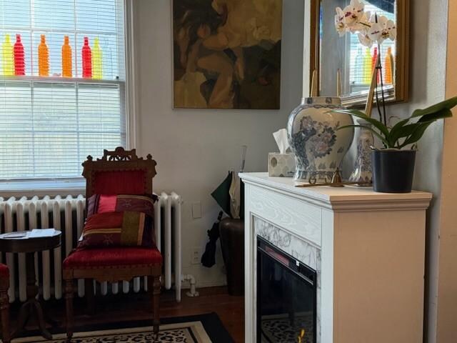 View from the cozy couch.