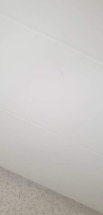 Pubic hair on the bathroom wall