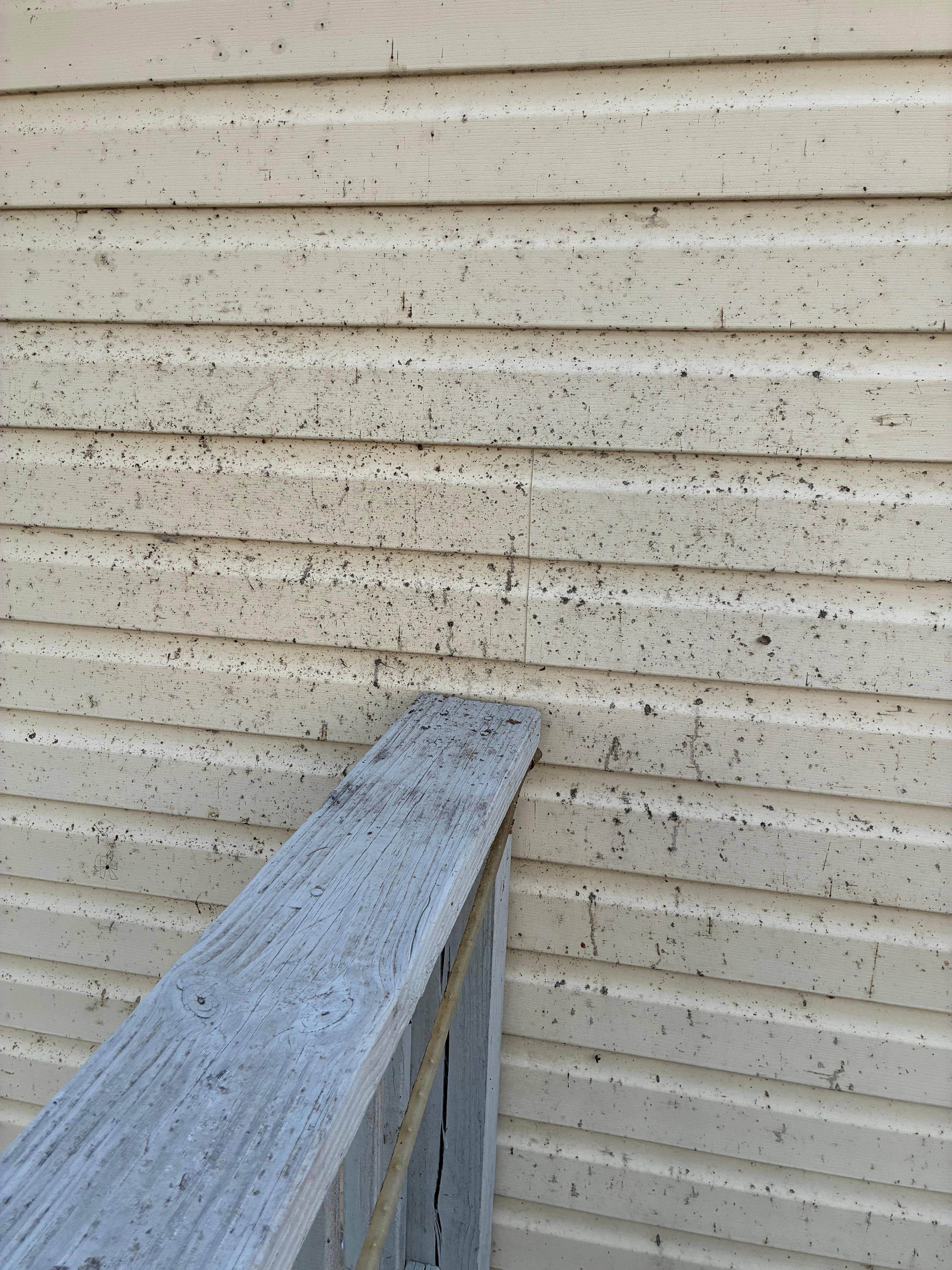 Again, dirty wall of house