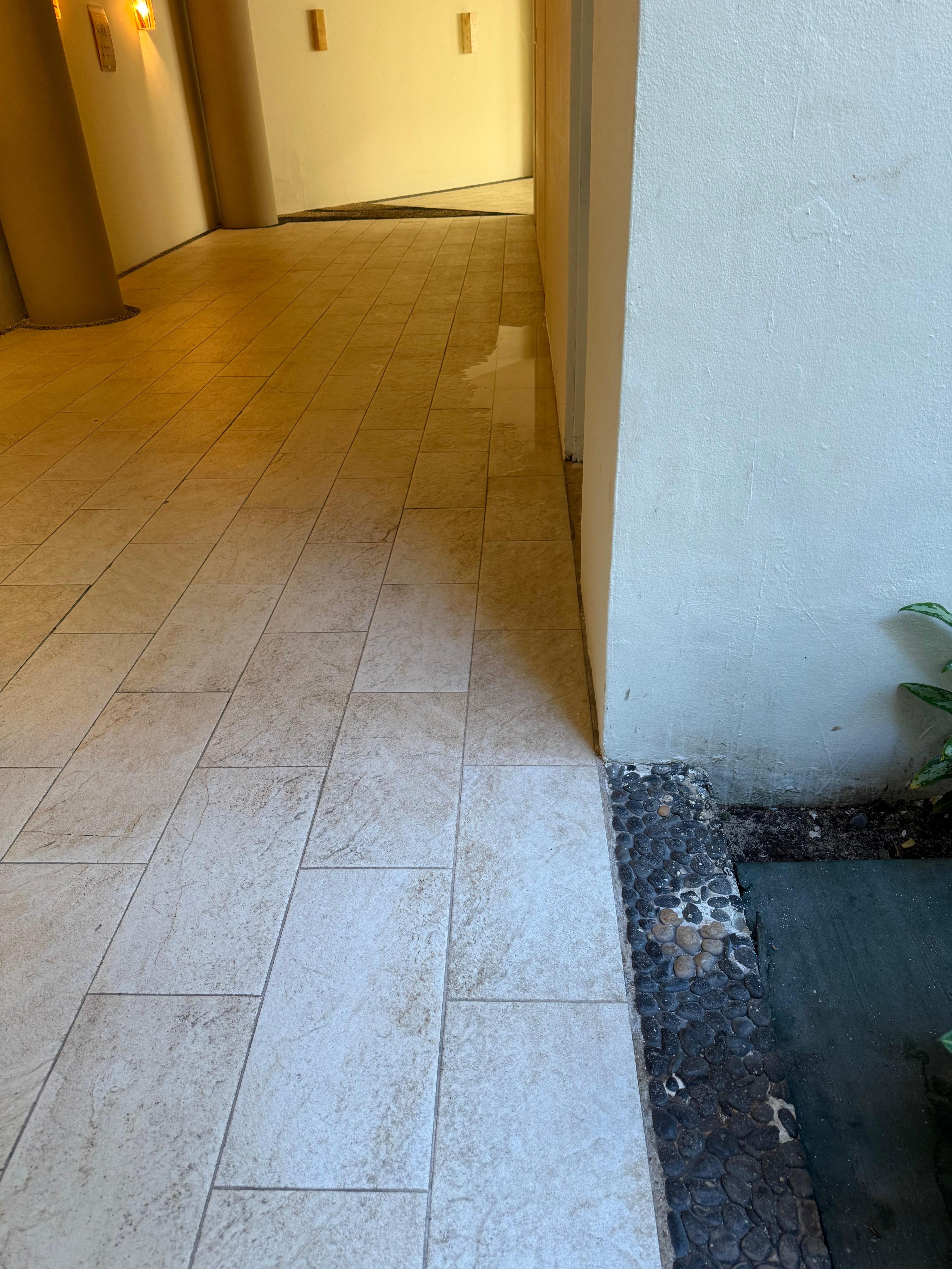 Water for plumbing closet that leaks constantly and into the walls of the room. Hence mold. 