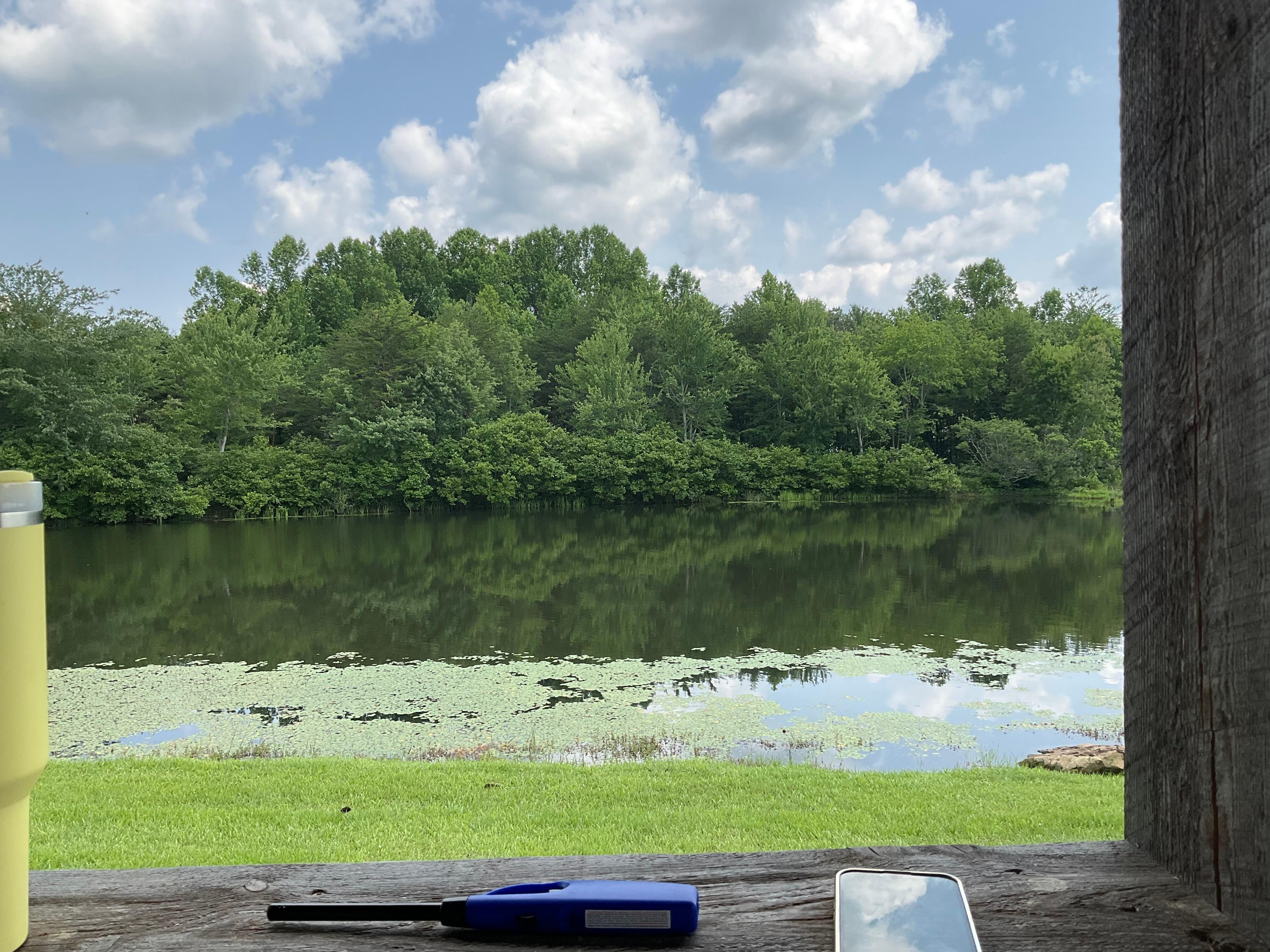 The pond was so soothing to our souls. And the family of geese were charming to watch.