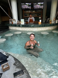 Cocktails at the pool bar