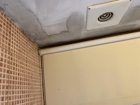 Mold, water damaged building. Health hazard.