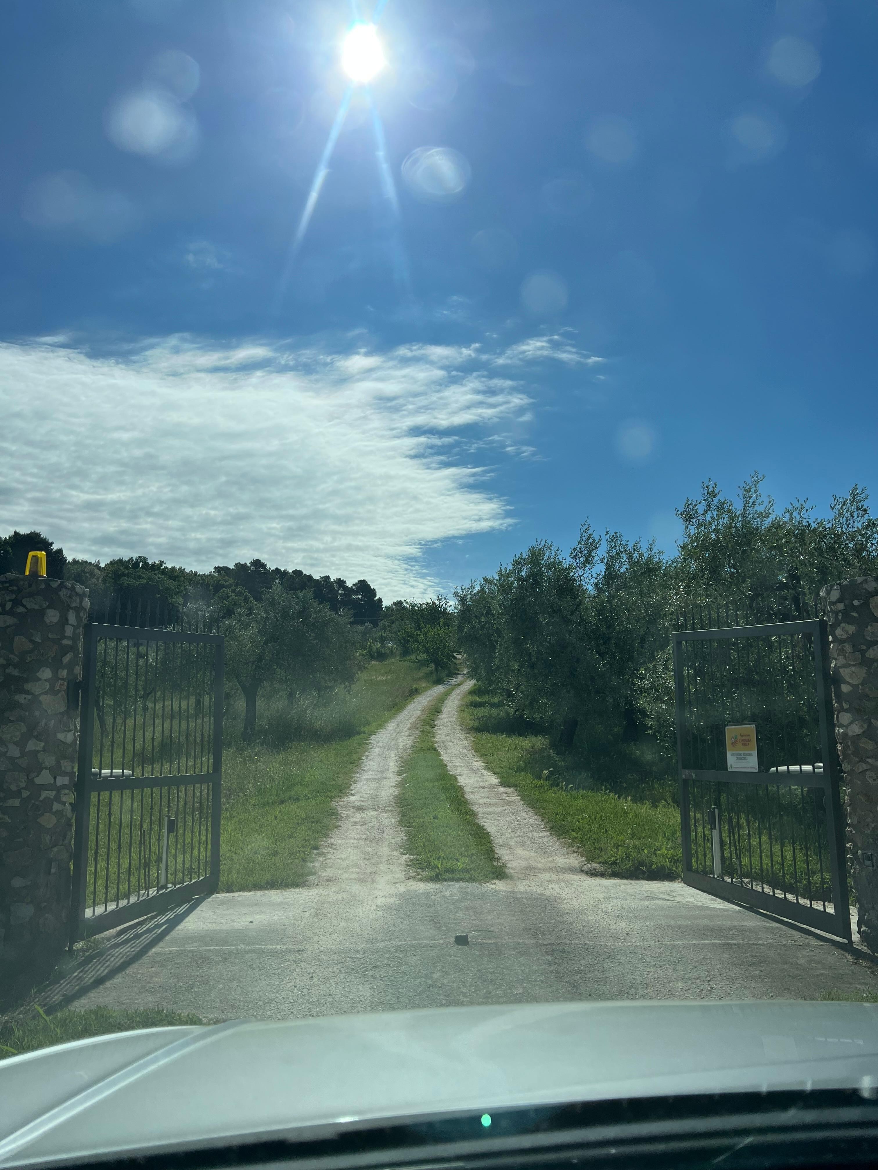 The gate to the property