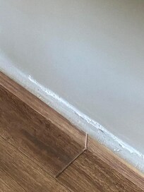 Damage to drywall & woodwork