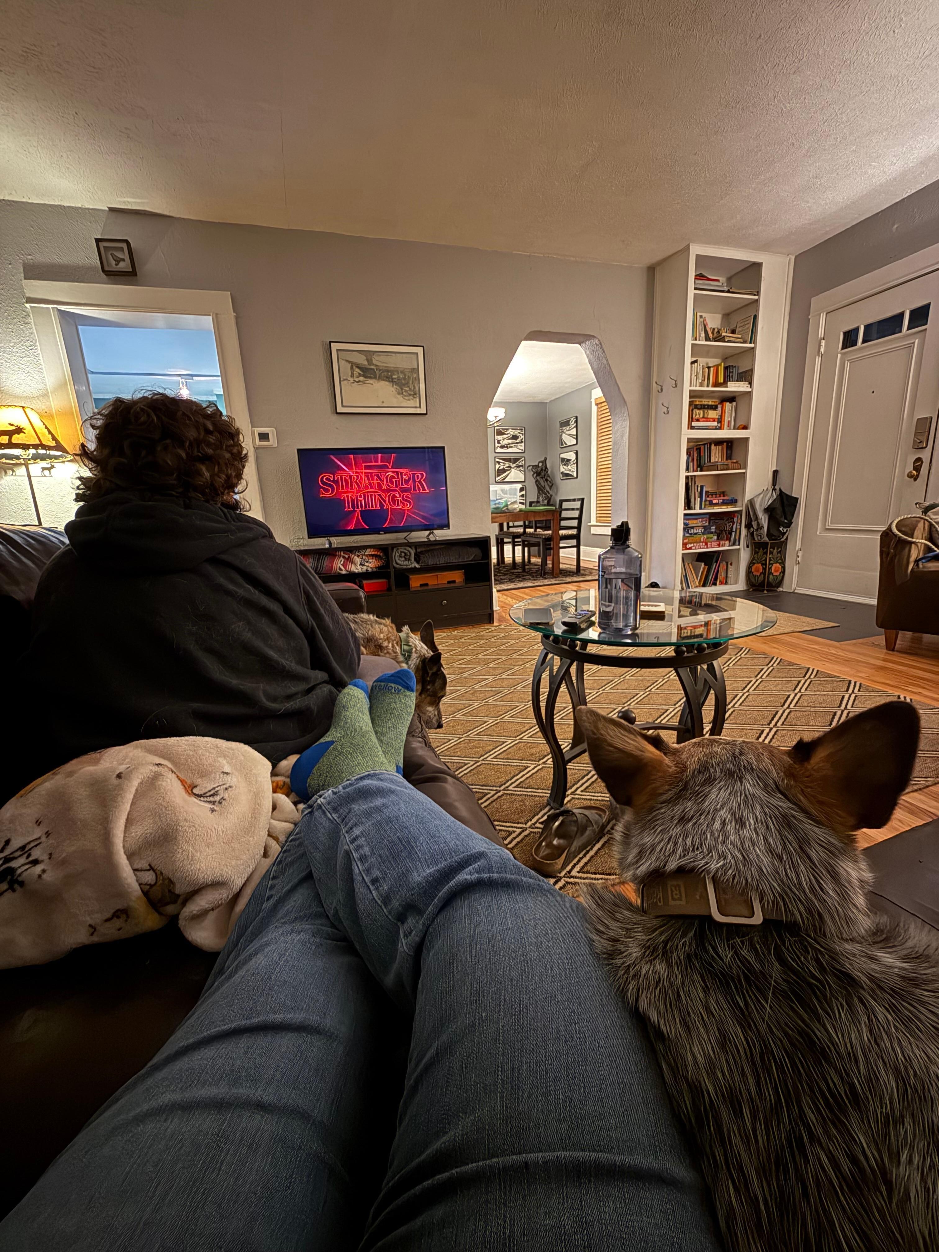 Comfortable space to relax in for the holidays! 