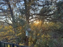Sunset from the deck