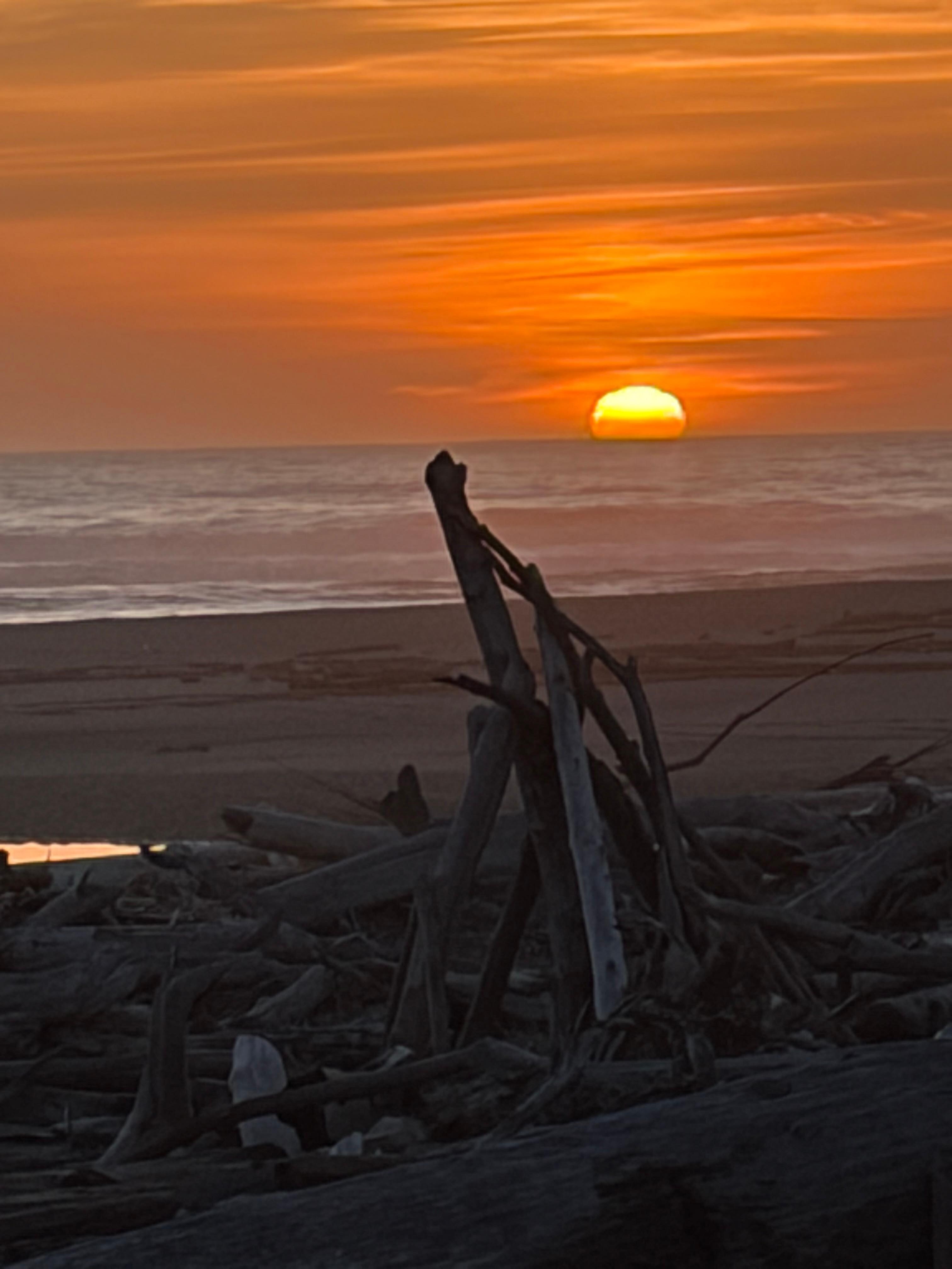 A few miles up the road!