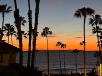 Sunset View Big Fish