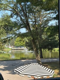 View from the sun porch.