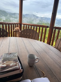 Morning Devotions with tea, a view and a pup.