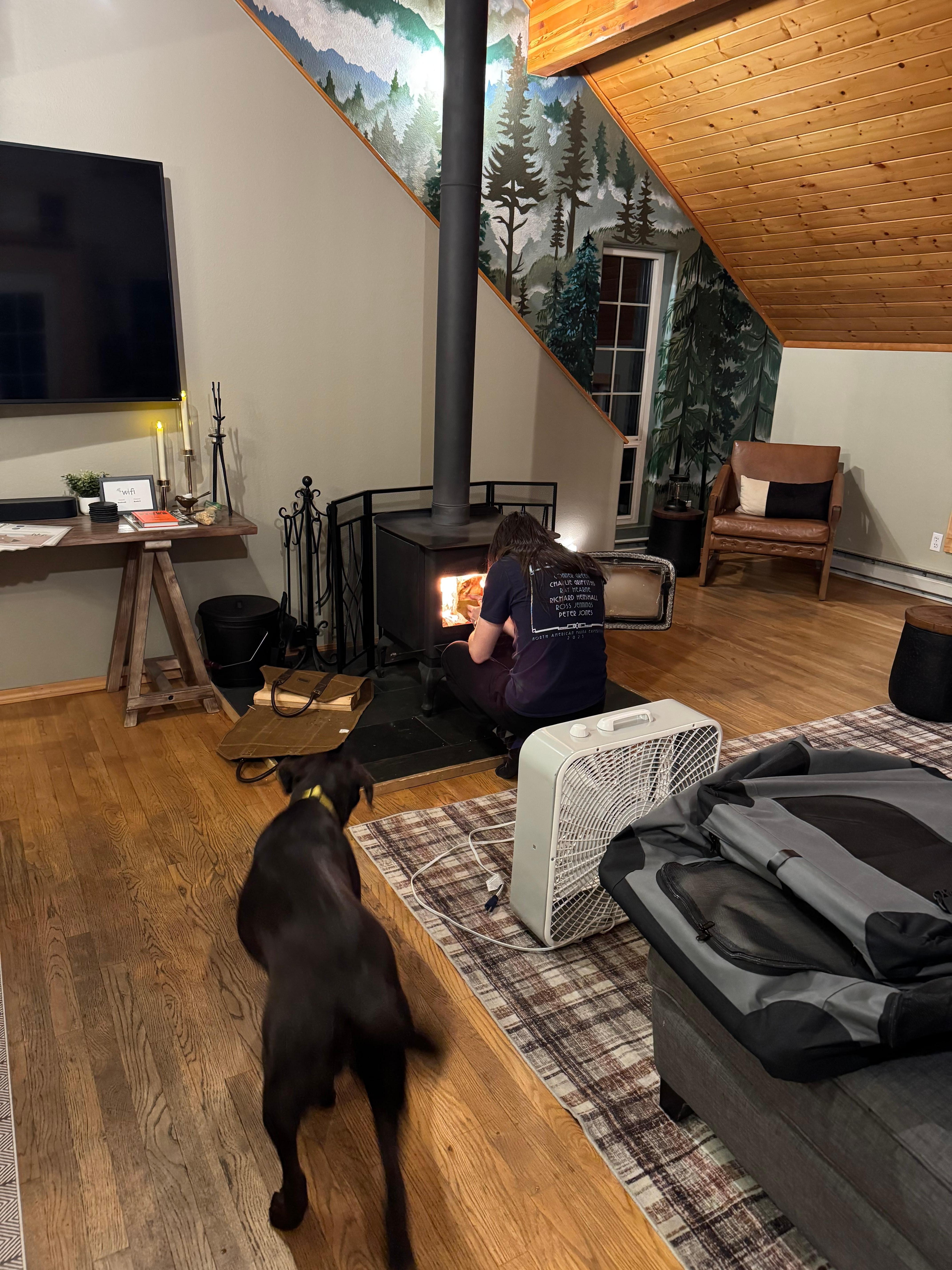 Wood burning fireplace