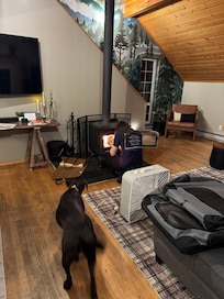 Wood burning fireplace