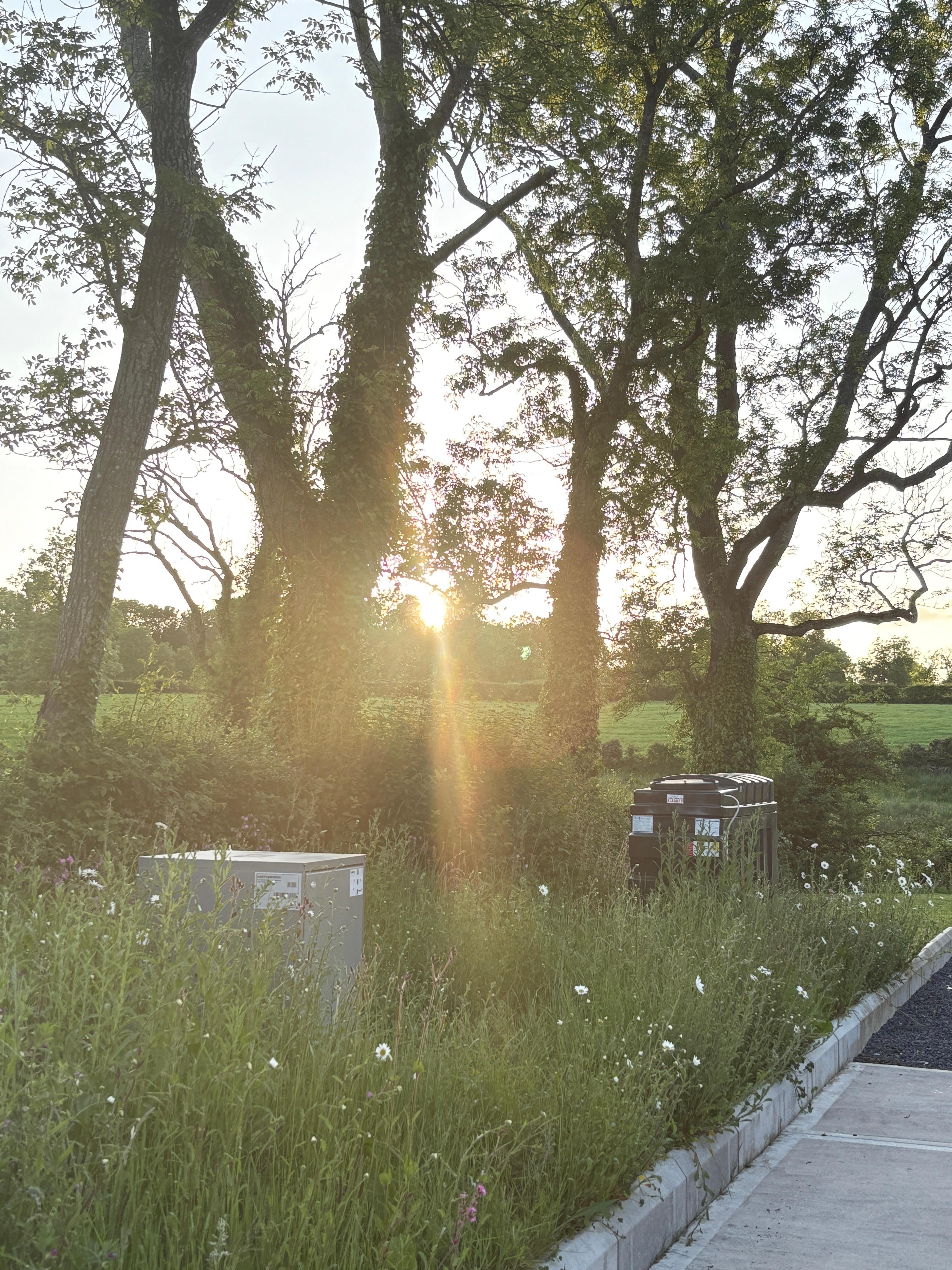 sunset from the back door