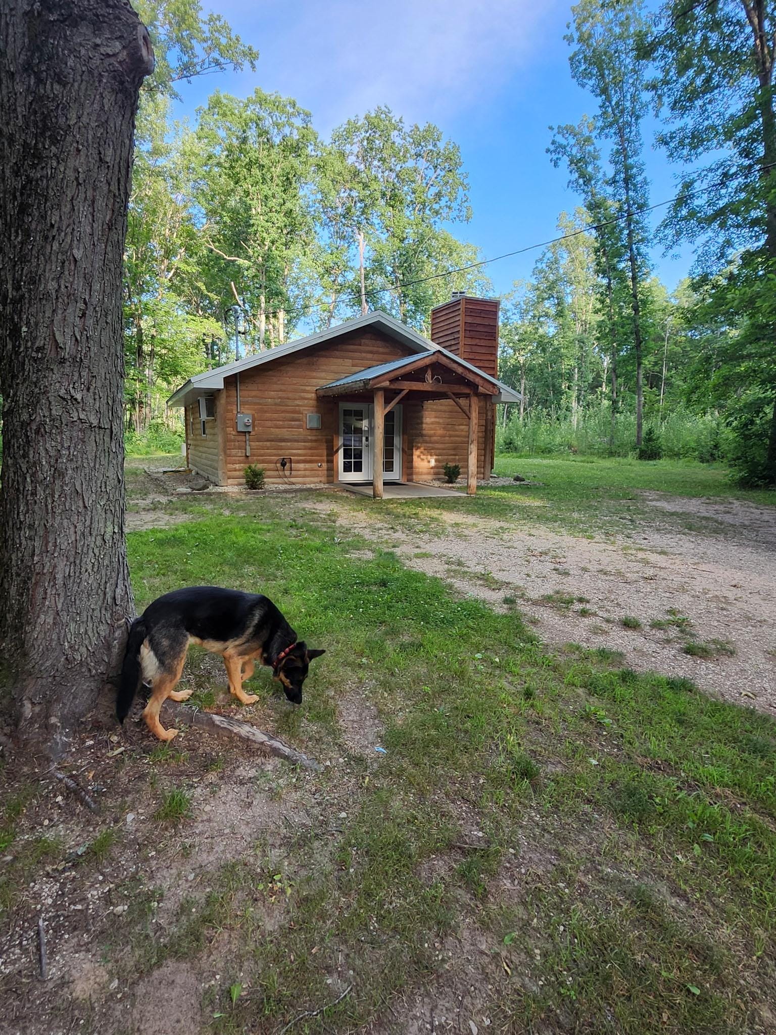 The cabin and my dog