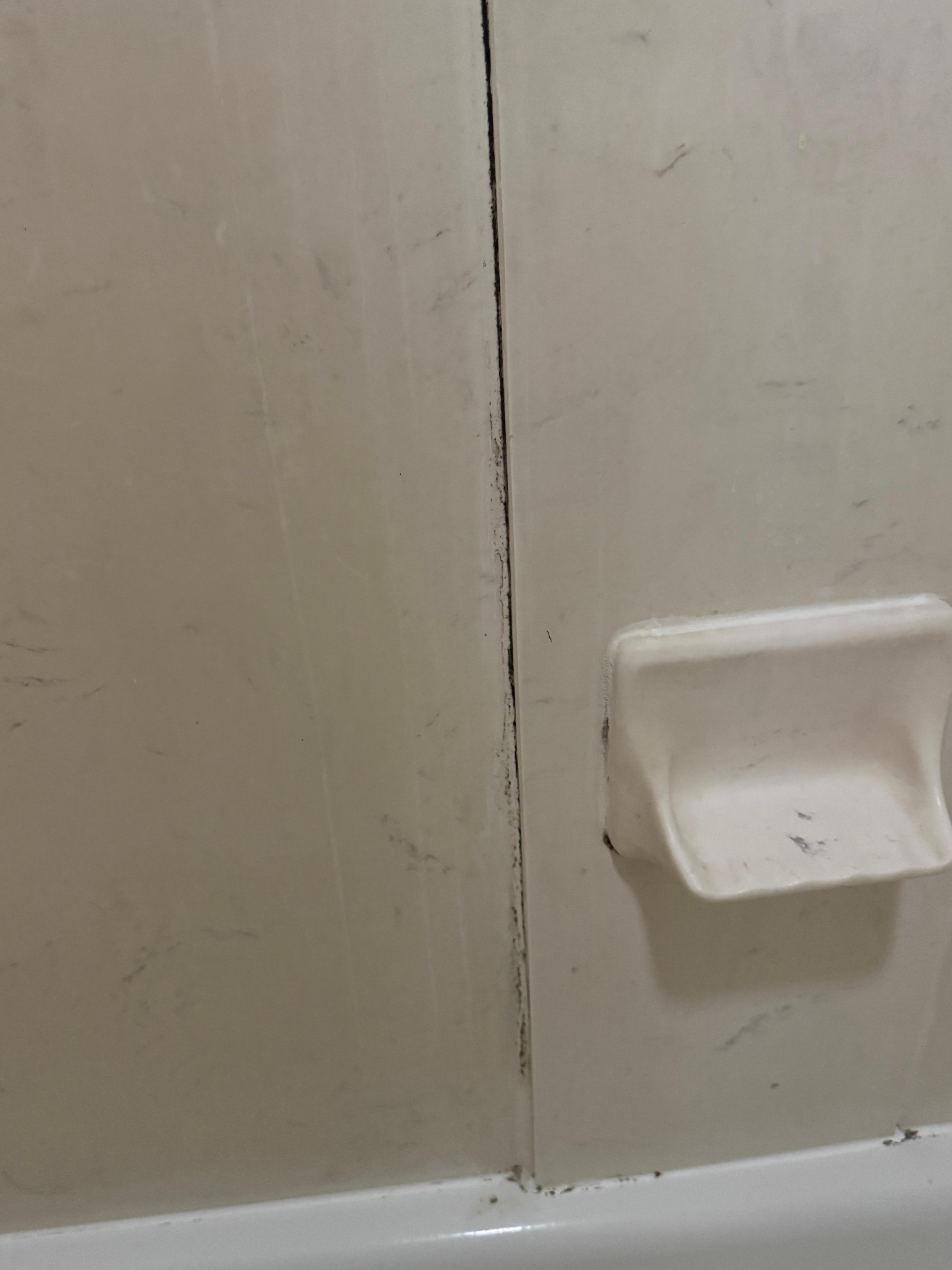 Bathroom shower area