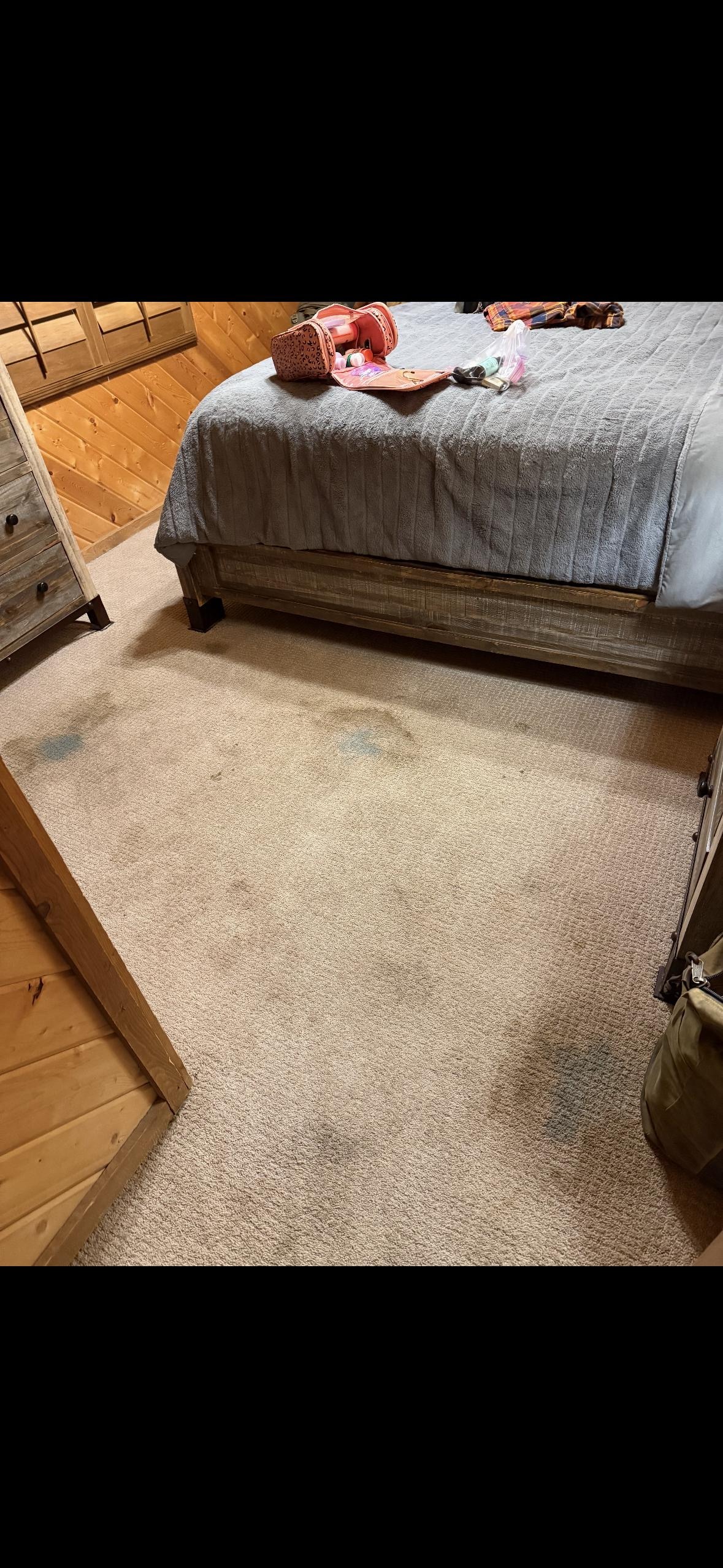 Bedroom 2 carpet
