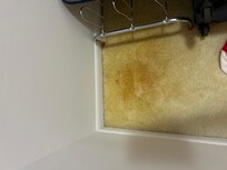 Stain on carpet