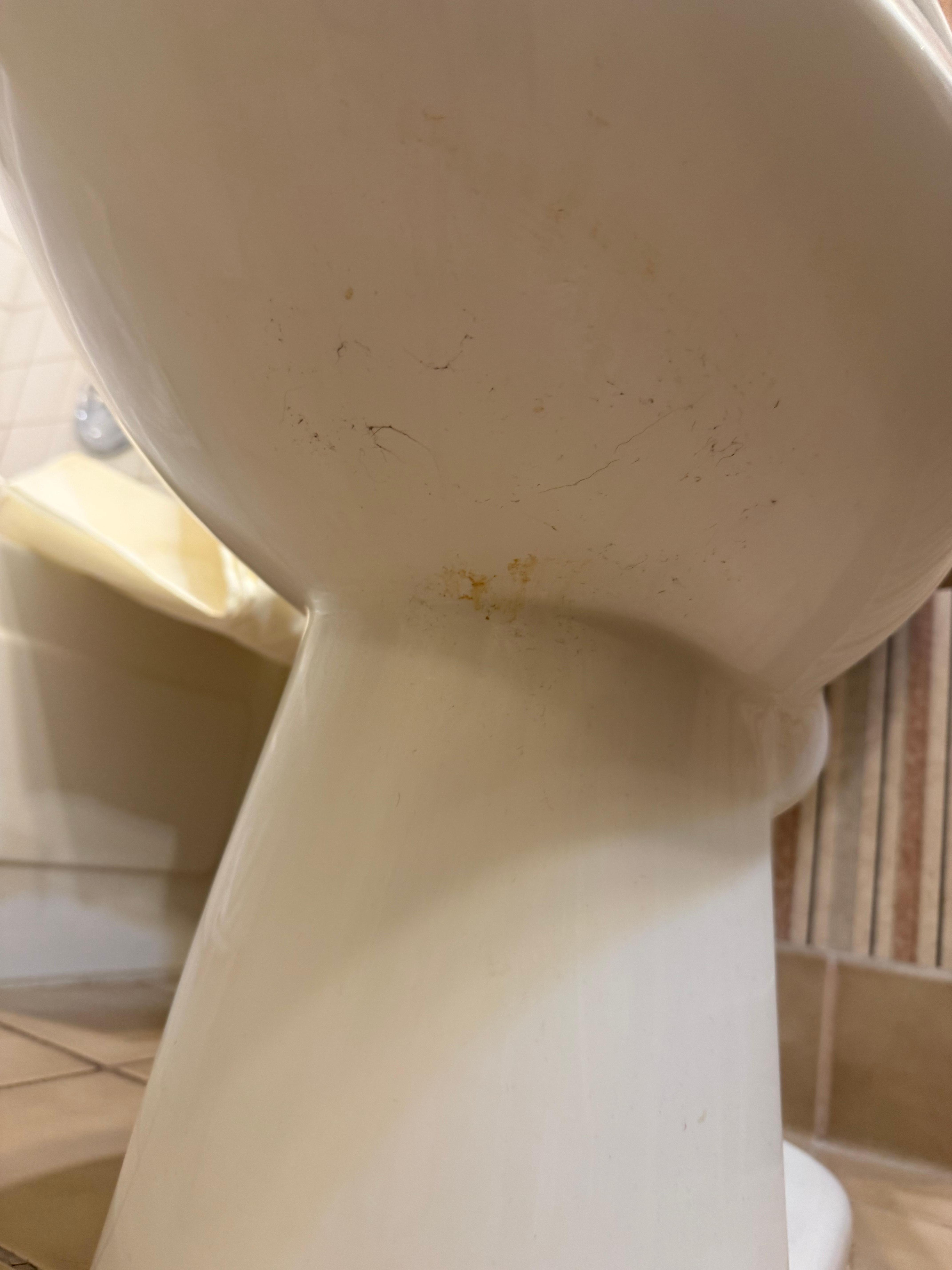 Urine left on the toilet which  I had to clean