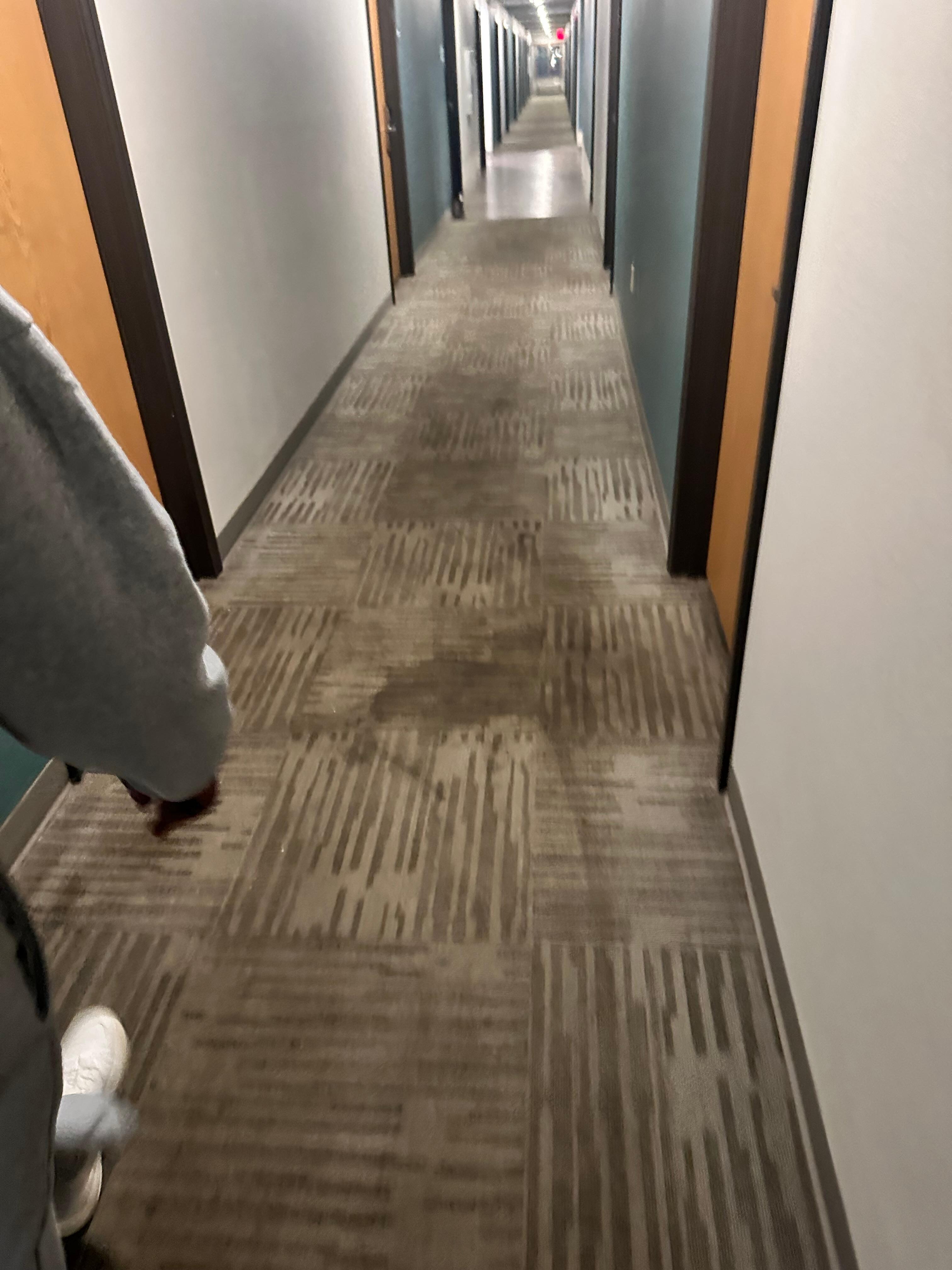 Stained and smelly carpet in the hallway 