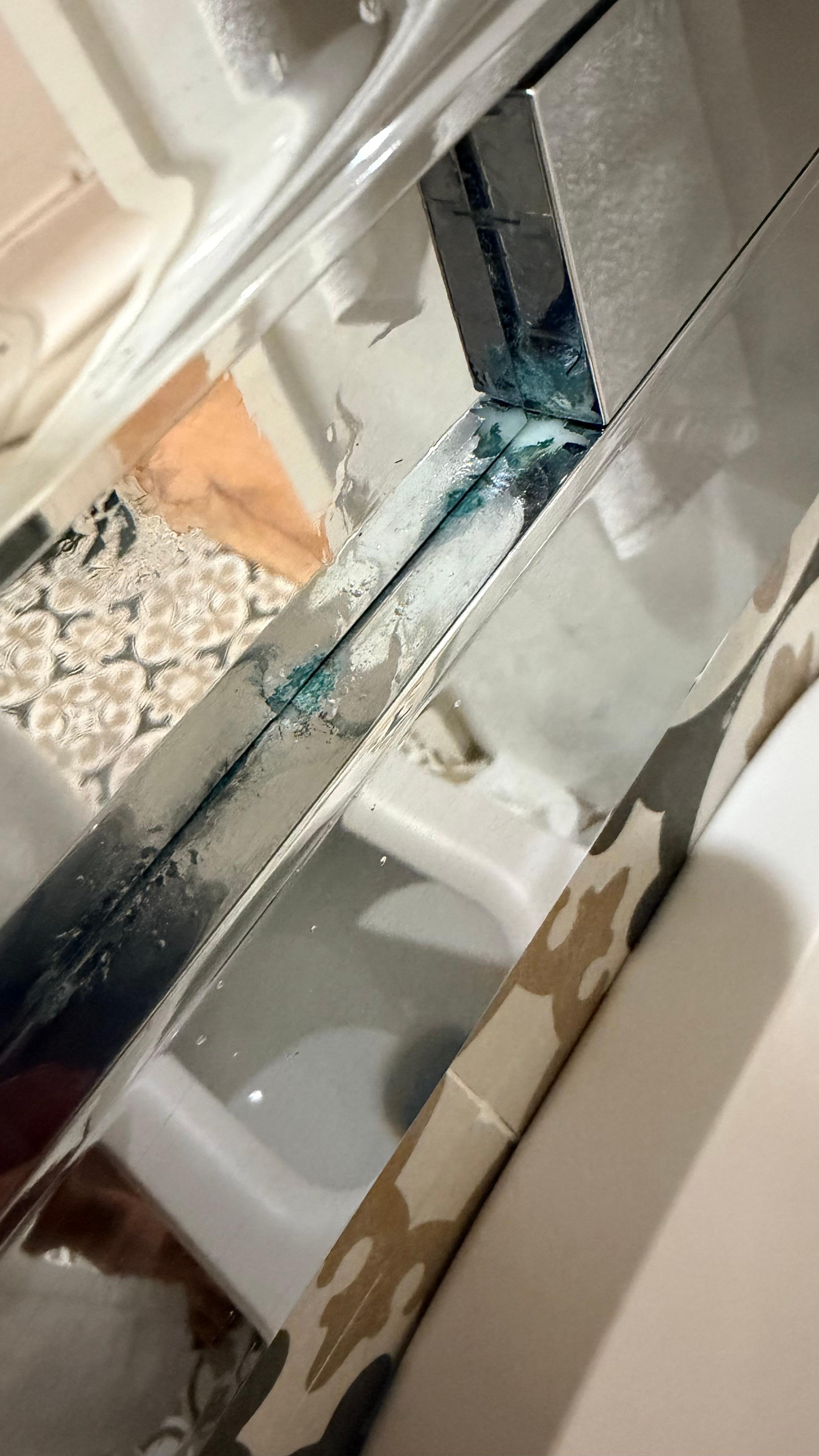 Mold, dirt and grime build up on toilet flusher